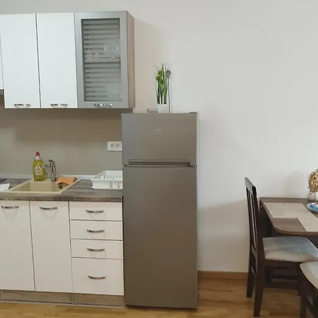 Nemanja Apartment Vrnjacka Banja